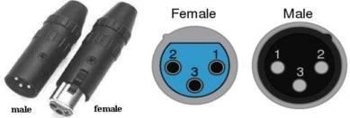 XLR